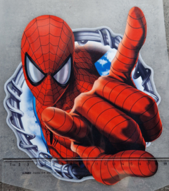 Spinman big