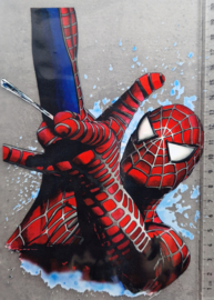 Spinman