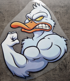 Strong duck