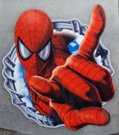 Spinman big