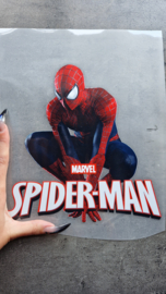 Spinman marvel9