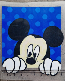 Blue Mouse (S)
