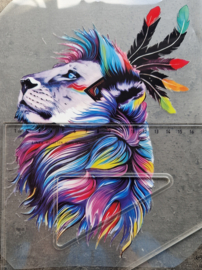 Colourfull lion