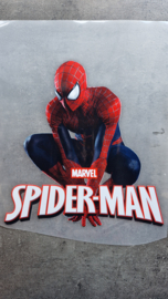Spinman marvel9