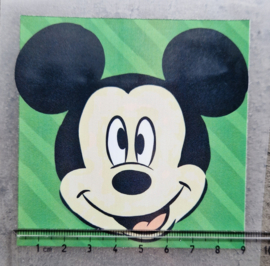 Green mouse (S)