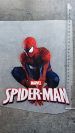 Spinman marvel9