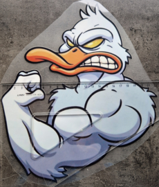 Strong duck