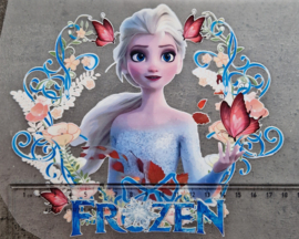 Icefrozen