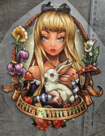 Follow the white Rabbit