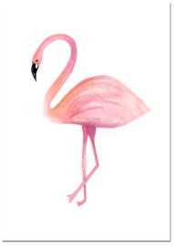 Dierenposter Flamingo