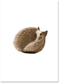 Dierenposter Egel