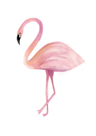 Dierenposter Flamingo