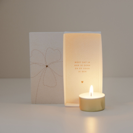 Light in a box bloem / 4 pieces