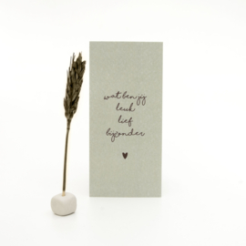 Little Box Dried Flower "Wat ben jij leuk lief bijzonder" set van 2