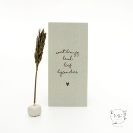 Little Box Dried Flower "Wat ben jij leuk lief bijzonder" set van 2