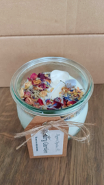 Fairy Garden M