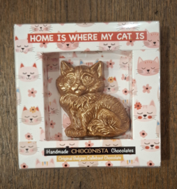 Home is where my cat is