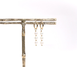 Oorbellen white pearls
