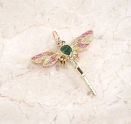 Bedel dragonfly