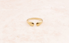 Ring bonny