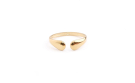 Ring bonny