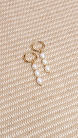 Oorbellen white pearls