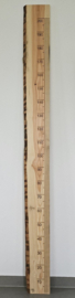 Groeimeter 200cm Lariks schaaldeel