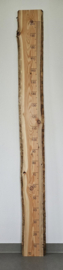 Groeimeter 200cm Lariks schaaldeel