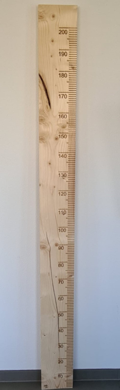 Artistiek Edelsteen hoofdkussen Groeimeter 200cm Steigerhout Transparant - Scheur in het hout (Lettertype  Groeimeter: Geen lettertype) | Buitenkansjes | Mikki Joan