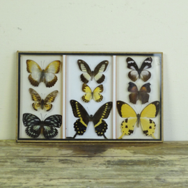 Butterfly box