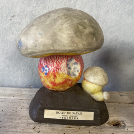 Serie van 9 Franse pharmacy paddenstoelen