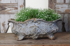 Cast iron jardinière