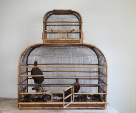 Antieke Franse vogelkooi