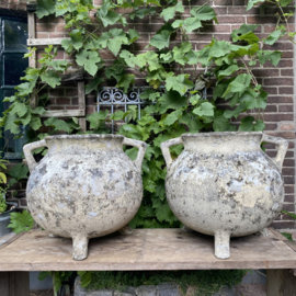 Set of 2 willy gull garden planters