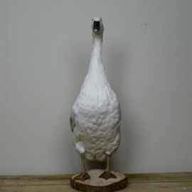 Opgezette witte gans nr. 1