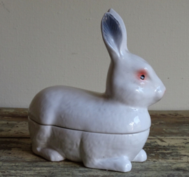 Caugant pate mold rabbit