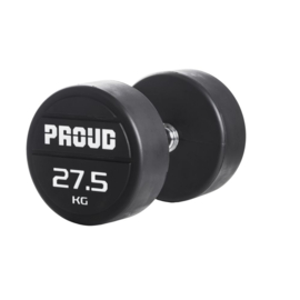 Rubber Dumbbell Set 27,5 - 37,5kg
