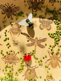 PlayPlate insecten
