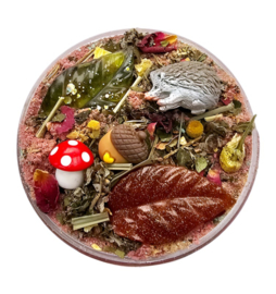 Verassingspotje Autumn Feelings SensoryFizz
