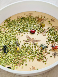 PlayPlate insecten