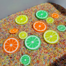 Citrus schijfjes