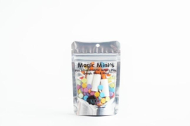 Magic Mini's feest
