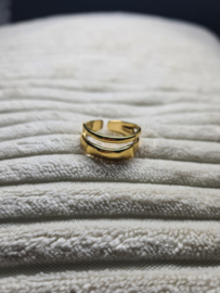 Trendy RVS Ring Goud