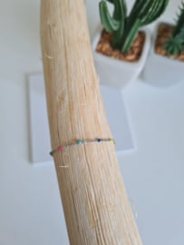 Armbandje Zilver Regenboog