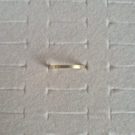 Matte Ring Goud - maat 17