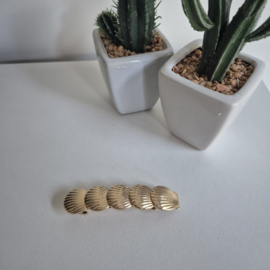 Haarklem Goud Schelp