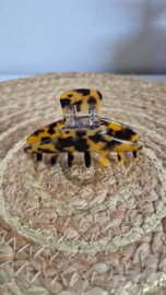 Haarklem gespot Bruin