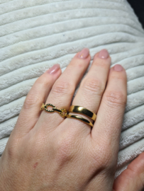 RVS Ring Schakels