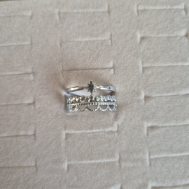 RVS Ring Zilver Grote Ster - verstelbaar