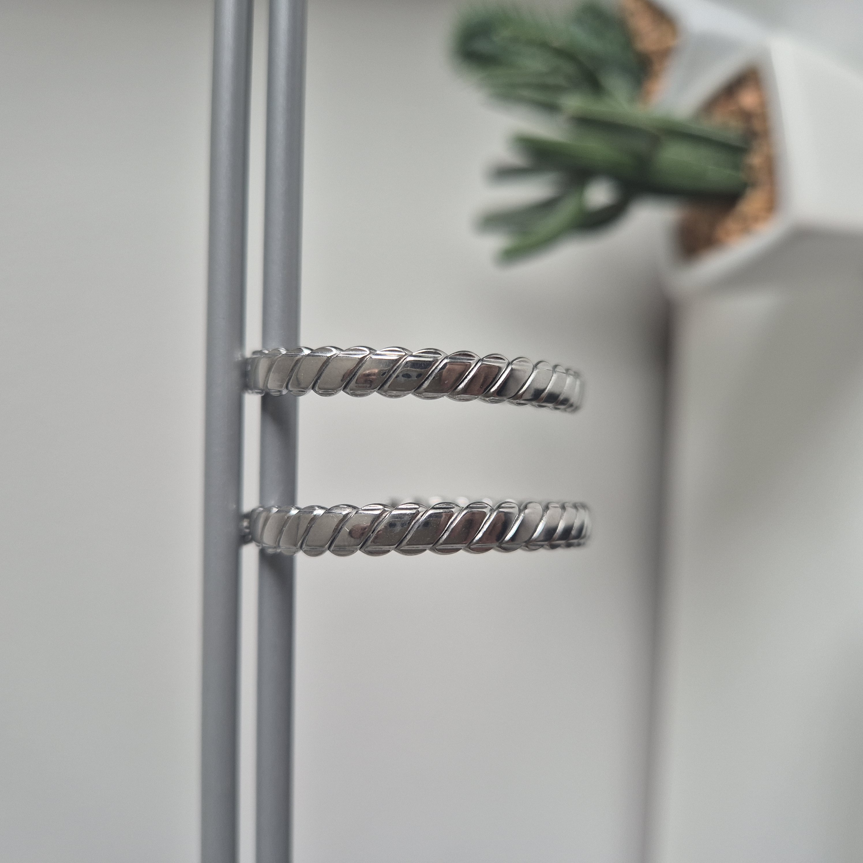 RVS Oorringen Zilver